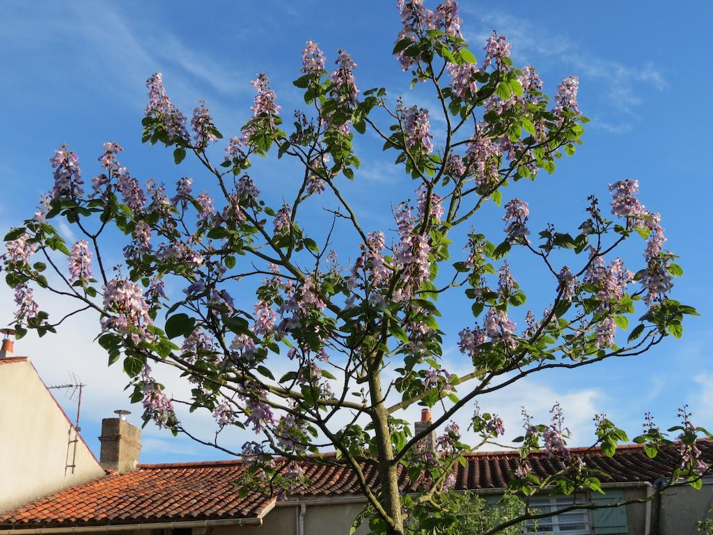 Bed and Breakfast L'Aubinoise Saint-Aubin-la-Plaine Exterior foto